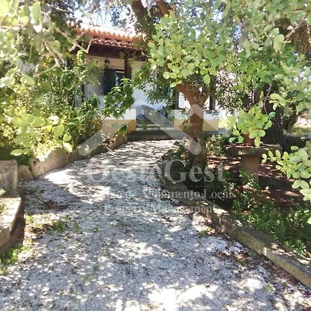 Holiday home Casa Da Lena Reguengo Grande